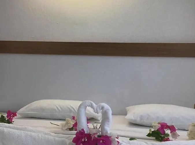 Ξενοδοχείο Altunakar 1