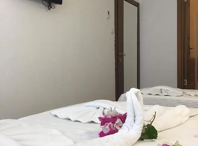 Altunakar 1 4* ديديم