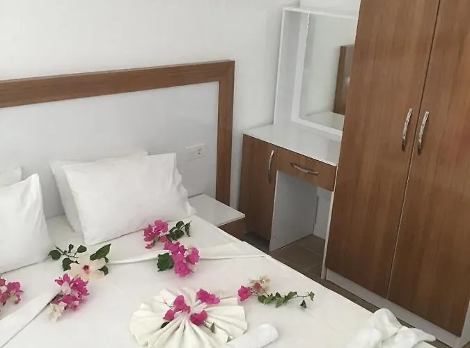 فندق Altunakar 1 ديديم