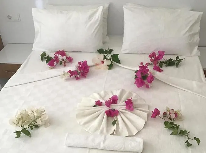 Ξενοδοχείο Altunakar 1 4*