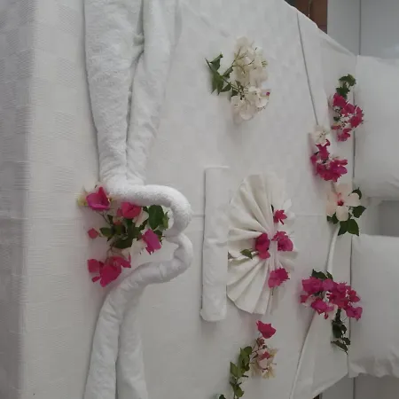 Altunakar 1 4* Didim